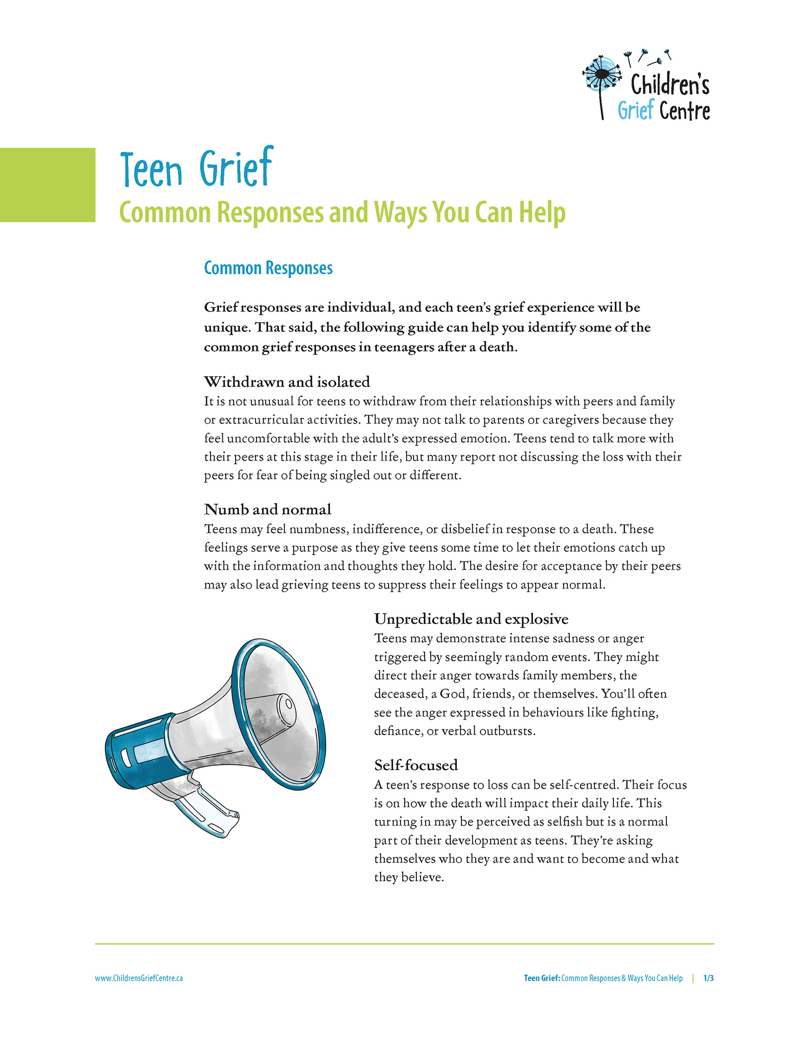 2021 CGC Teen Grief Responses and Help